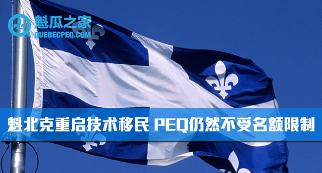 魁瓜之家PEQ