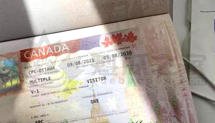 加拿大境外旅游签审理时间真的需要几百天吗？