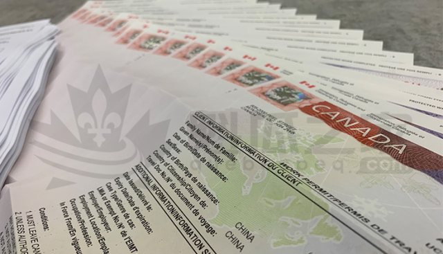 旅游签转工签政策继续延期至2025年2月